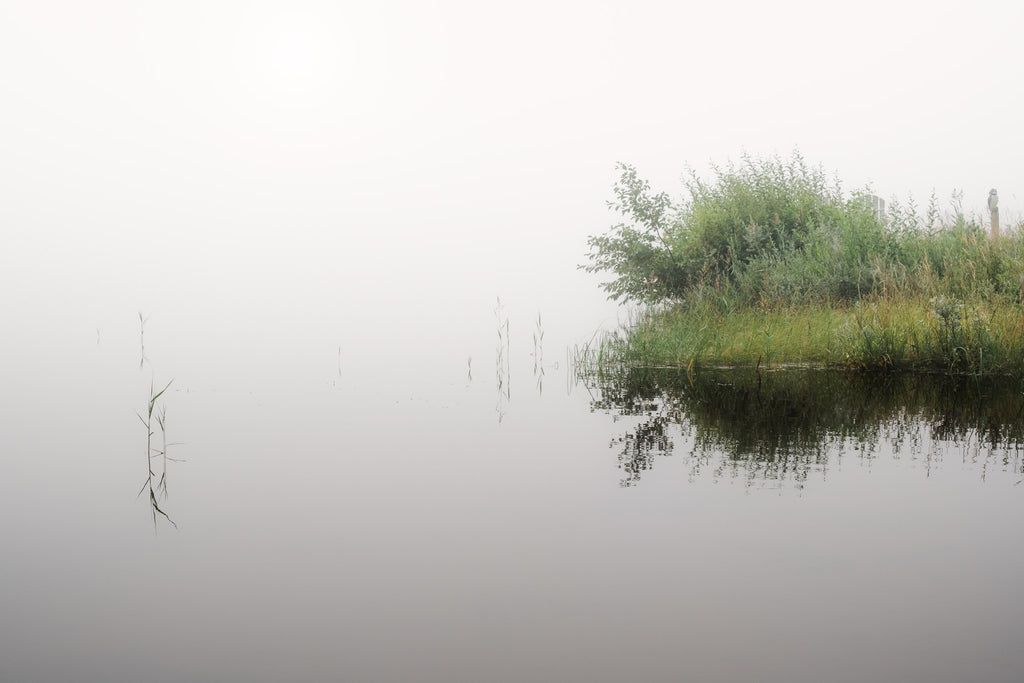 Photograph taken in the morning when there was a lot of fog