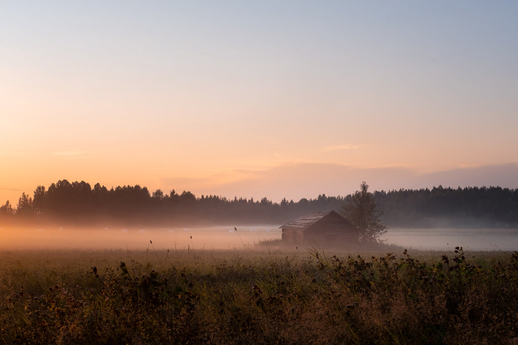 A barn in the Swedish countryside during sunset