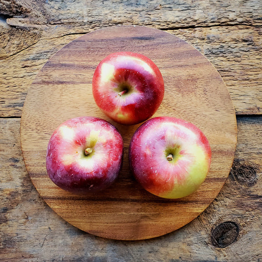 2 Cortland Apples – Village Farmstand