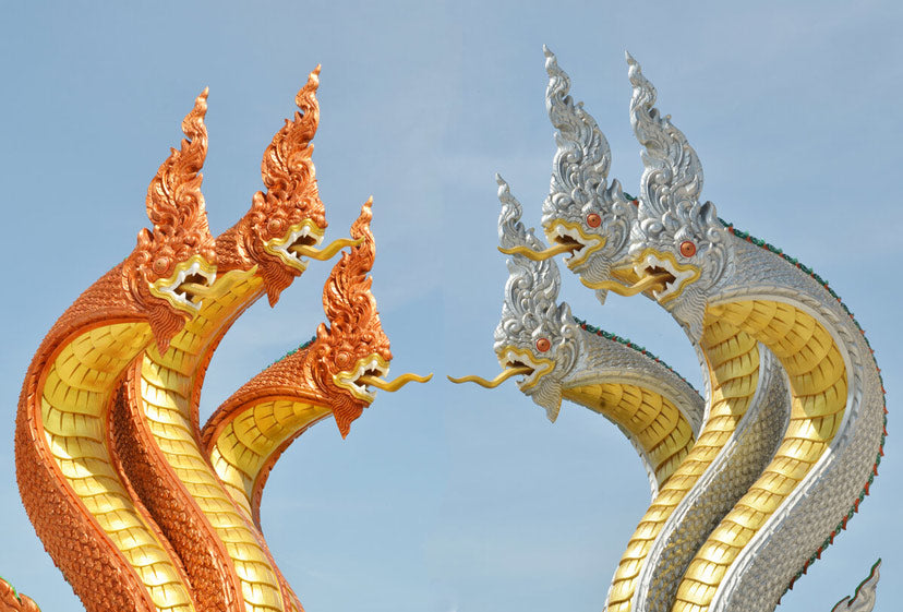 Dragon in Thailand