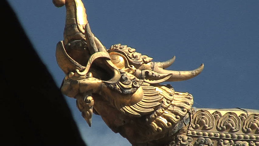 Dragon ornementation found in Tibetan temple