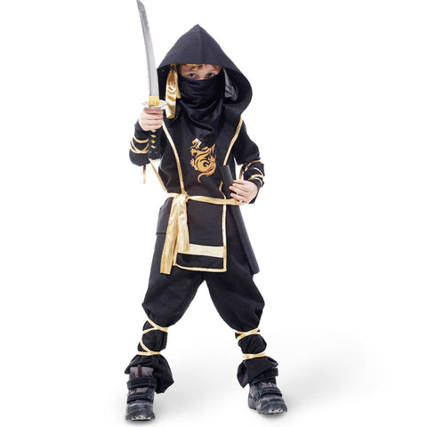 Hidden Dragon Warrior Ninja Men's Costume
