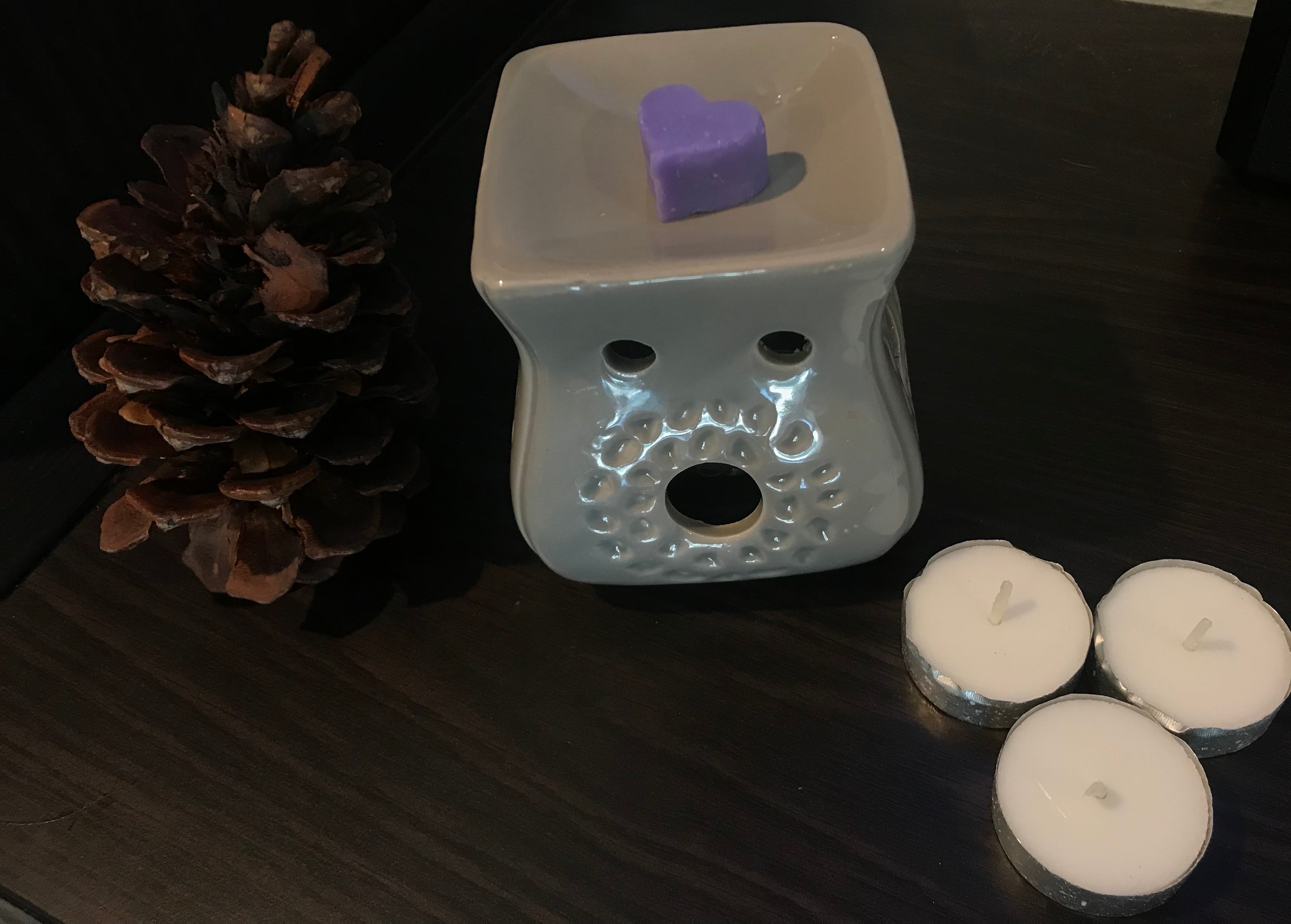 oil burner wax melts