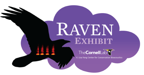 Raven Pro 1.6 – Cornell Lab of Ornithology Store
