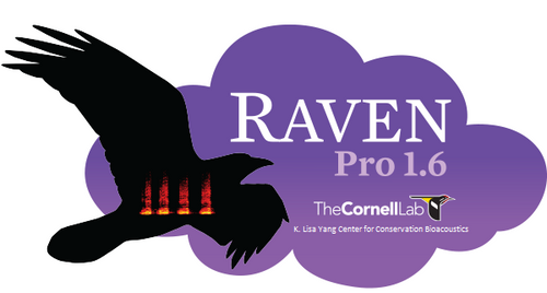 Raven Pro 1.6 – Cornell Lab of Ornithology Store