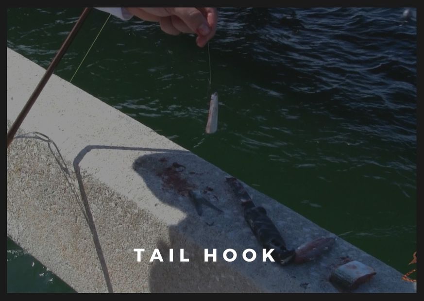 Tail hook baitfish