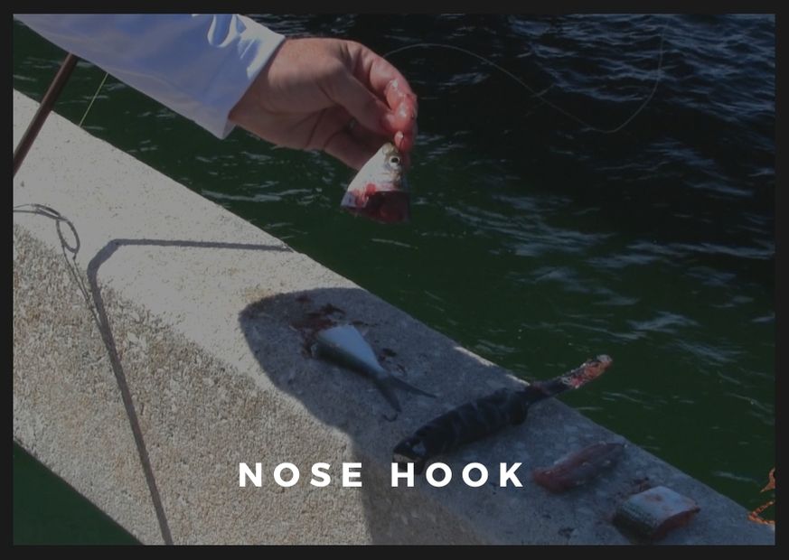 Nose hook baitfish
