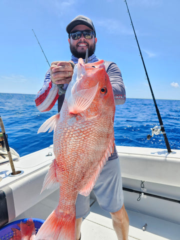 Large Red Snapper 