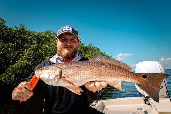 Redfish on Artificial Lures 