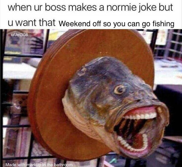Fish making a meme face, realistic, meme