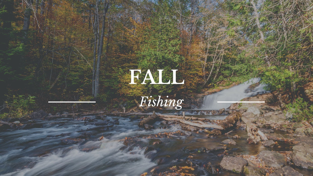 Fall Fishing 