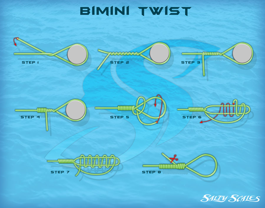 How to tie Bimini Twist infographic 