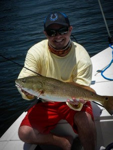 Fat Redfish