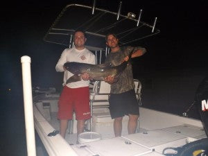 Night time cobia