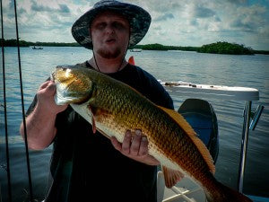 31 inch redfish