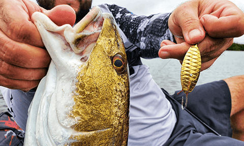 H&H Secret Redfish Weedless Spoon, Gold, 1/2 oz.