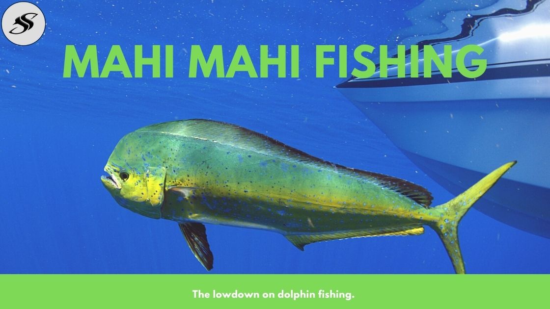 Mahi Mahi Fishing 