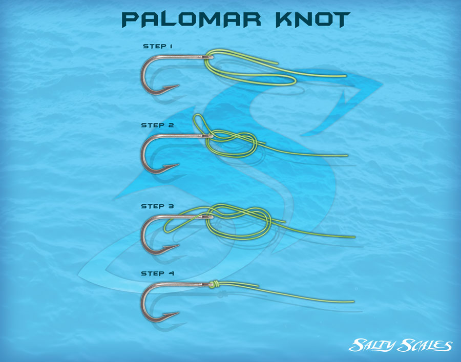 Palomar fishing knot infographic 