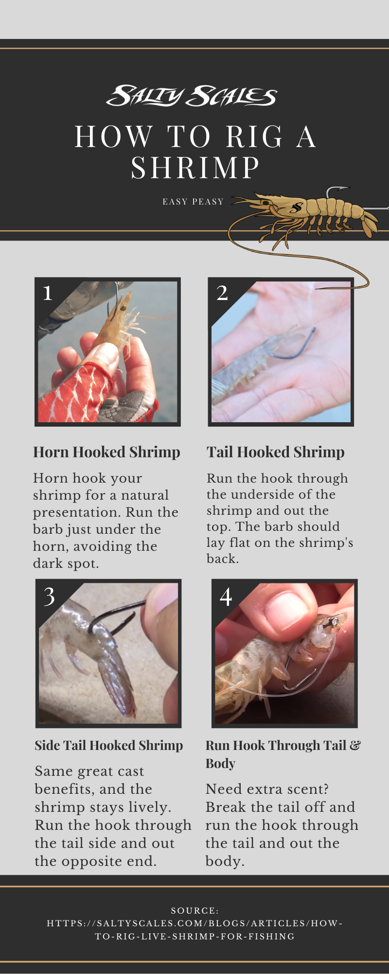 How to rig a shrimp infographic 