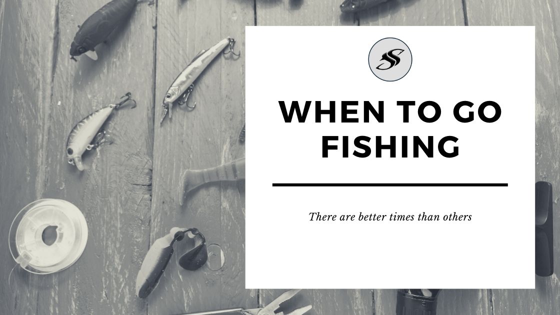 When to go fishing 