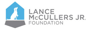 Lance McCullers Jr. Foundation