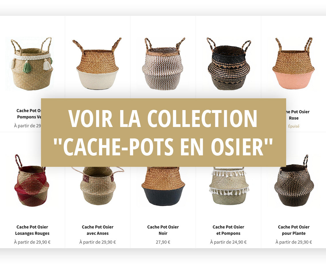 Collection de Cache-Pots en Osier