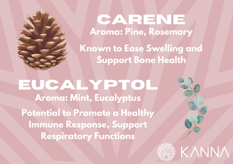 carene and eucalyptol terpene information