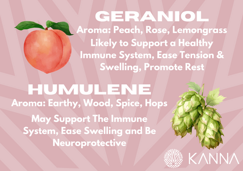 terpene information on geraniol and humulene