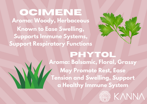 terpene information on ocimene and phytol