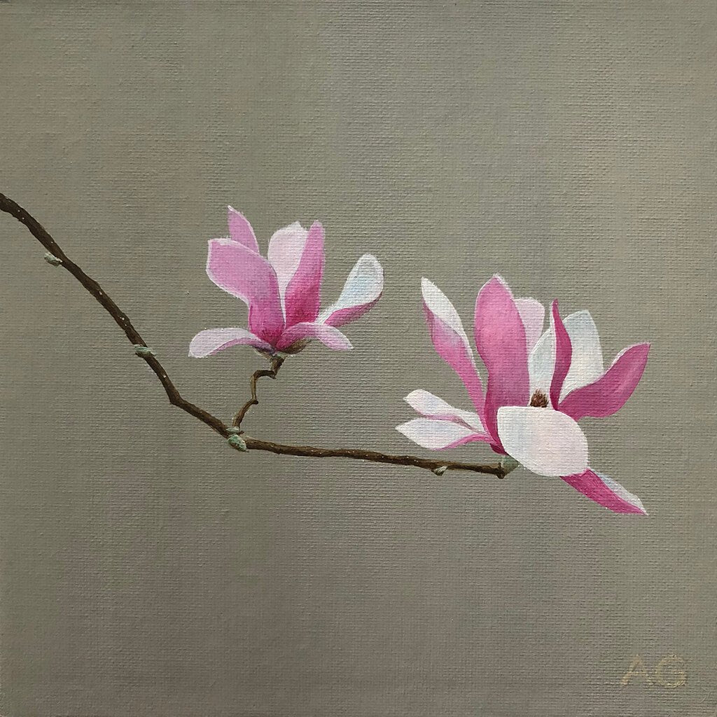 Magnolia flowers original artwork by Amanda Gosse