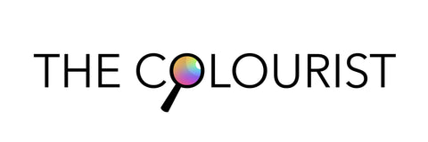 'The Colourist' Helen Trevisiol Duff art blogger Skylark Galleries logo