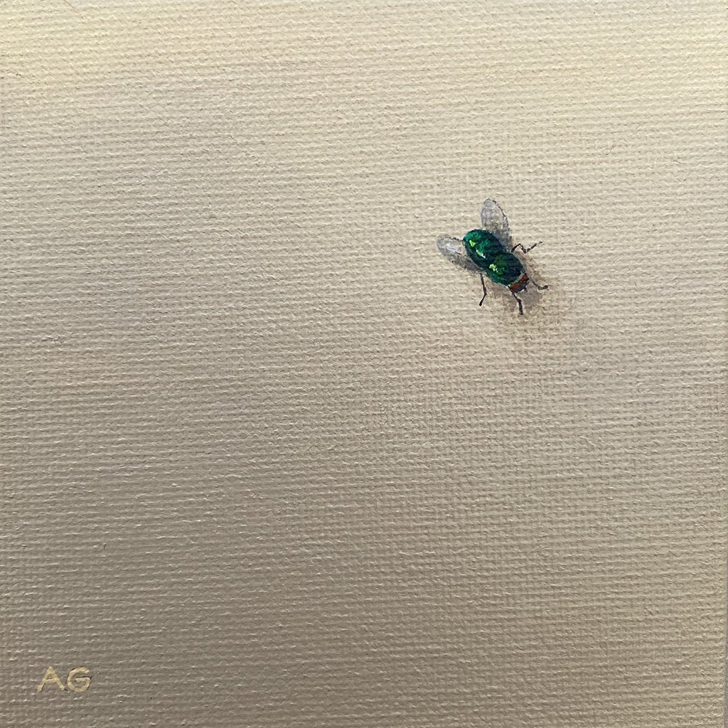 Fly guy by Amanda Gosse