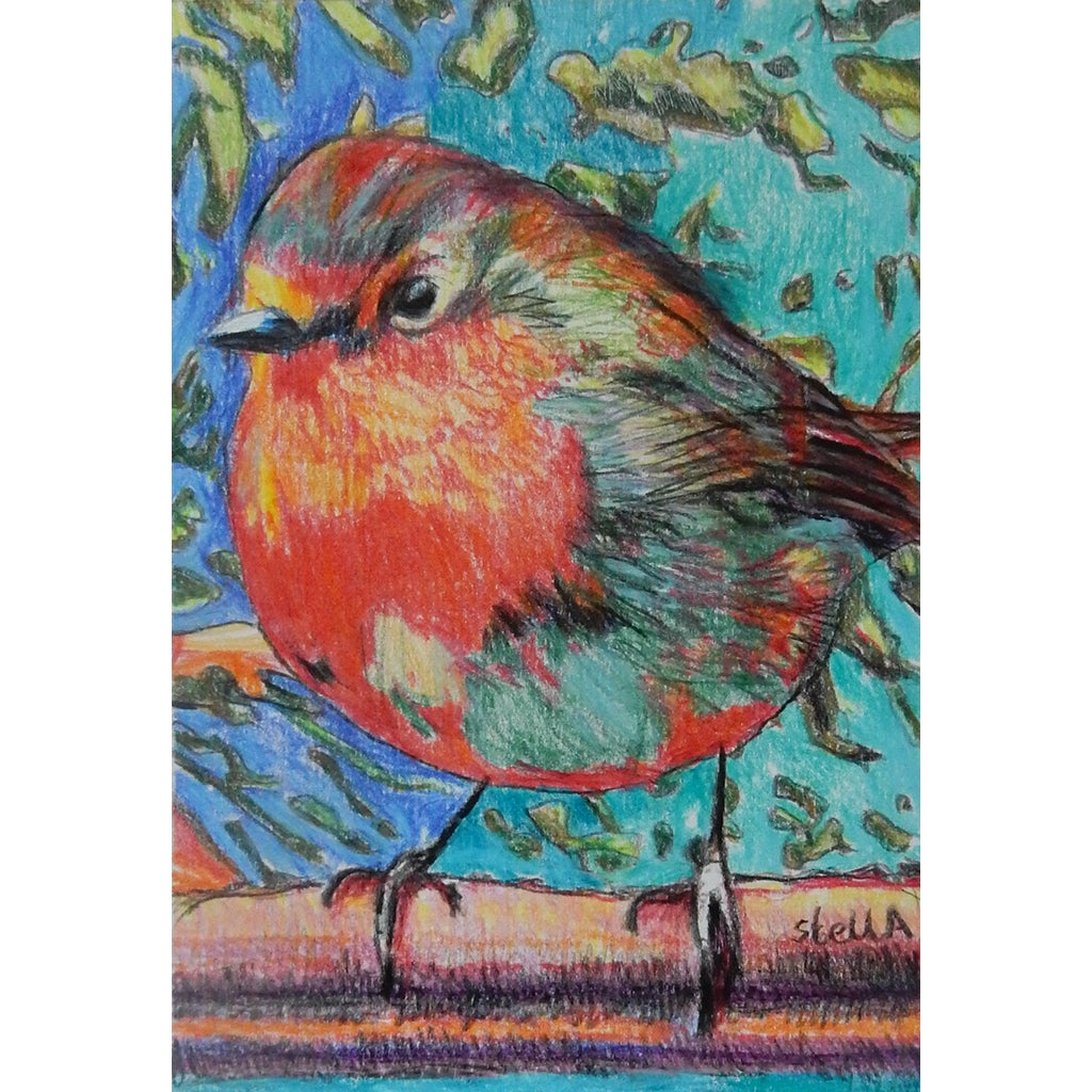 Robin original pencil on paper artwork an art gift by Stella Tooth
