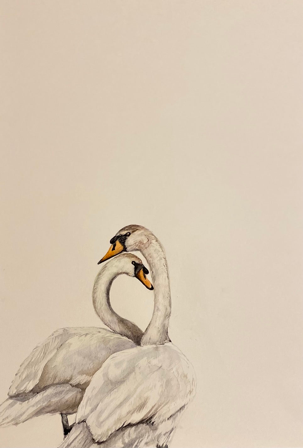 Swans original artwork by Helen Trevisiol Duff