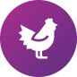 chicken icon