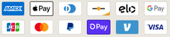 Icons of a few of the many Payment Methods that we accept.