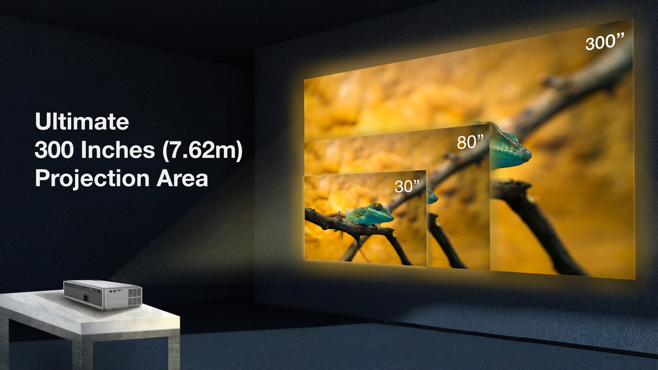 300" of Visual Brilliance