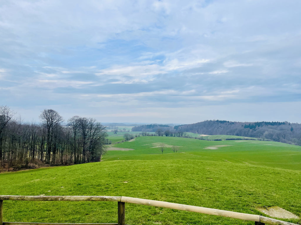 Blick vm Bungsberg über Felder in der Holsteinischen Schweiz