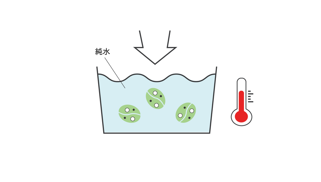 【ディカフェ】生豆を水に浸し、膨らませコーヒーの成分を染み出やすくします。 この時に熱と圧力を加えることによって「超臨界流」を作り出します。