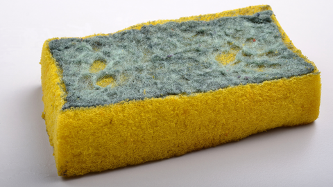 Bobbly sponge - are sponges plastic-free? 