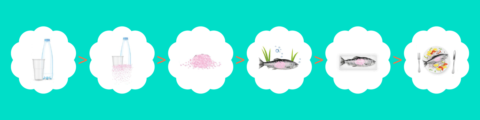 Microplastics in food chain cycle