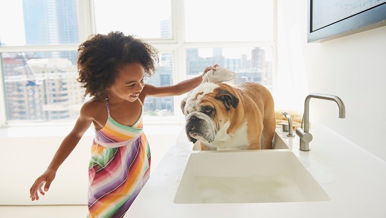 A little girl is petting a dog that is in the bathtub and taking a bath