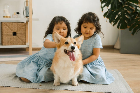 best pets for small children