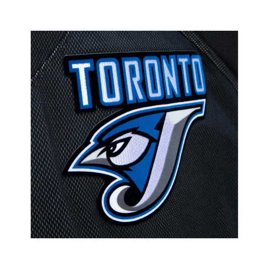  Toronto Blue Jays Joe Carter Authentic 1993 BP Jersey by  Mitchell & Ness : Sports & Outdoors