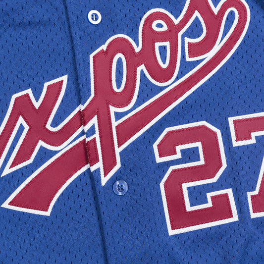 Pedro Martinez Montreal Expos Throwback Jersey – Best Sports Jerseys