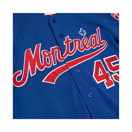 Montreal Expos Gary Carter Mitchell & Ness Royal Mesh Batting Practice  Jersey