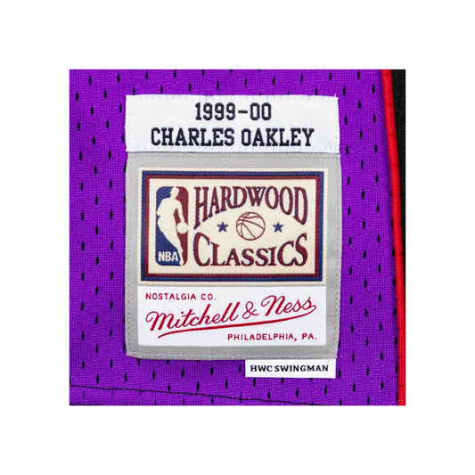 Mitchell & Ness Men NBA Toronto Raptors Swingman Jersey Damon Stoudamire Purple ’95-96 S