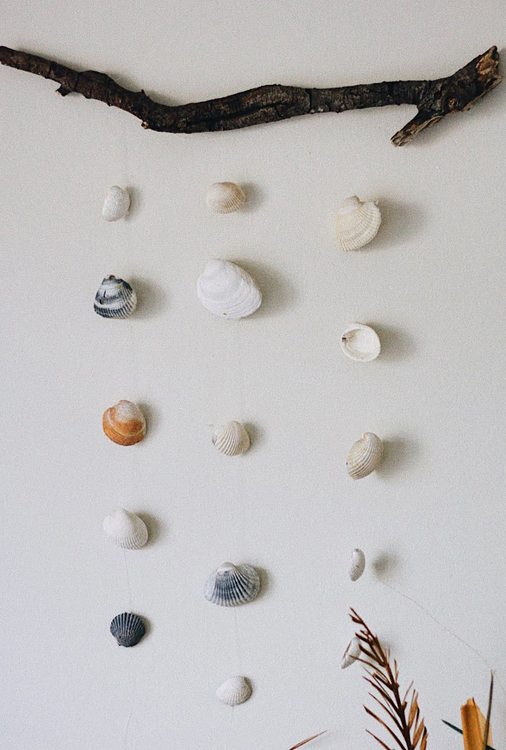 Seashell wall hanging