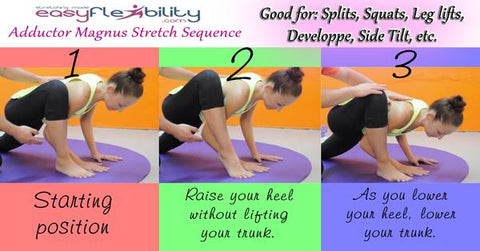 easyflexibility splits yoga hanumanasana adductors hamstrings lunge kinesiological stretching