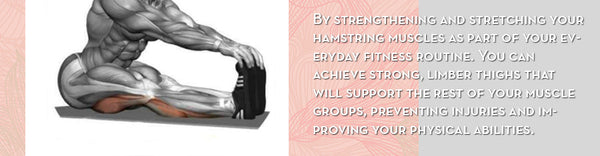 Hamstrings Beginner Stretching Flexibility